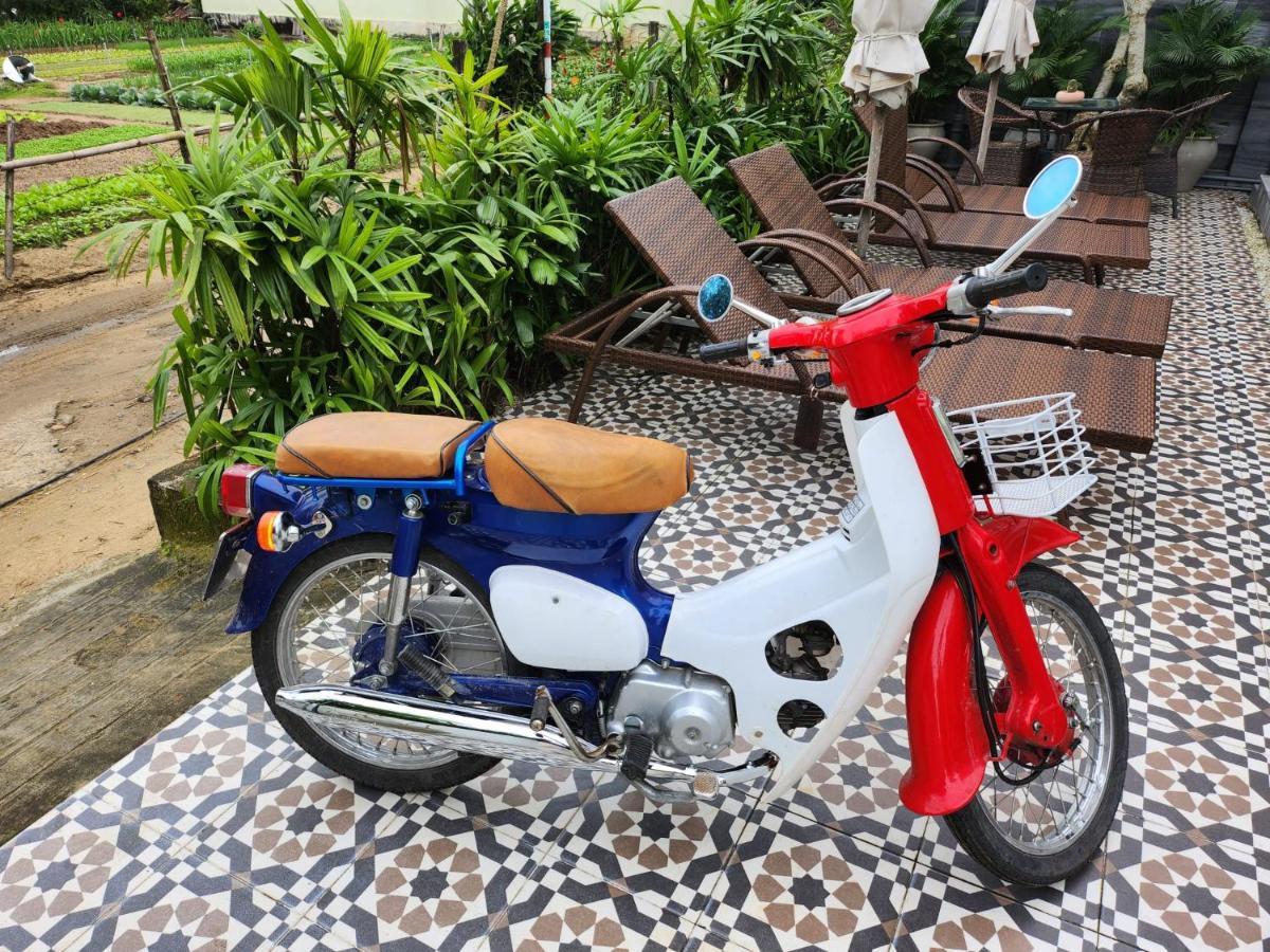 La Maison D'Indochine Hoi An Eksteriør billede