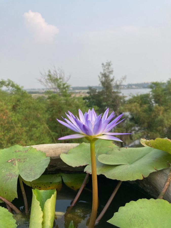La Maison D'Indochine Hoi An Eksteriør billede