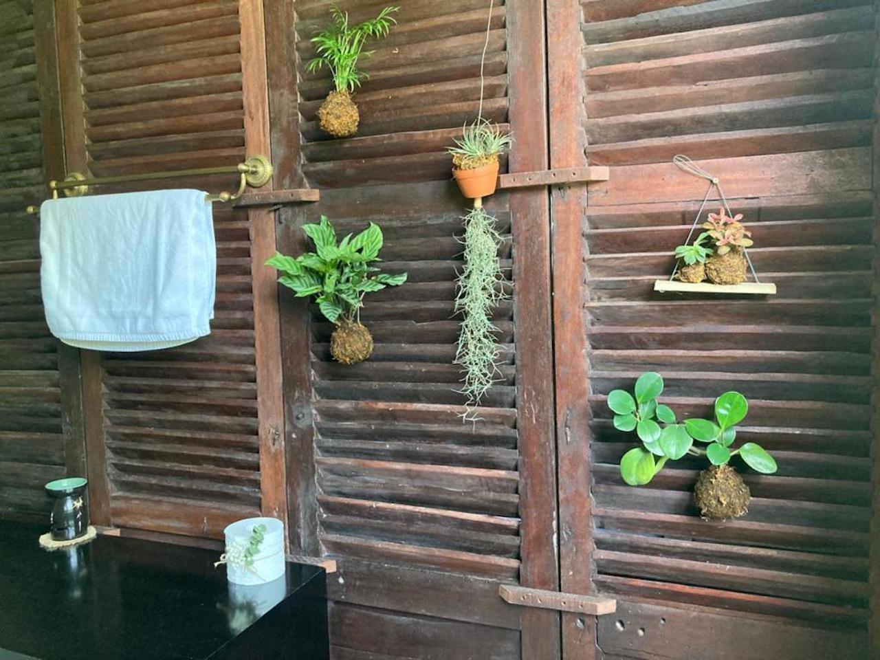 La Maison D'Indochine Hoi An Eksteriør billede